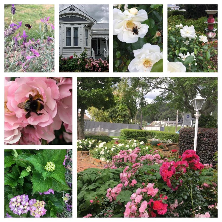 Chelsea House Bed & Breakfast Whangarei Extérieur photo